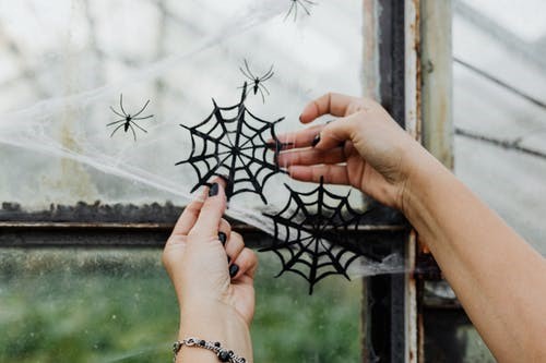 Add cobwebs, creepy crawlies, and more for some added scares and frights.