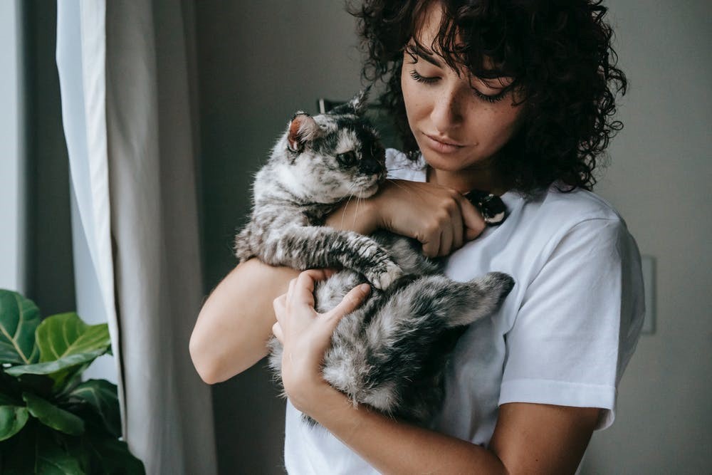 a girl calming her cat