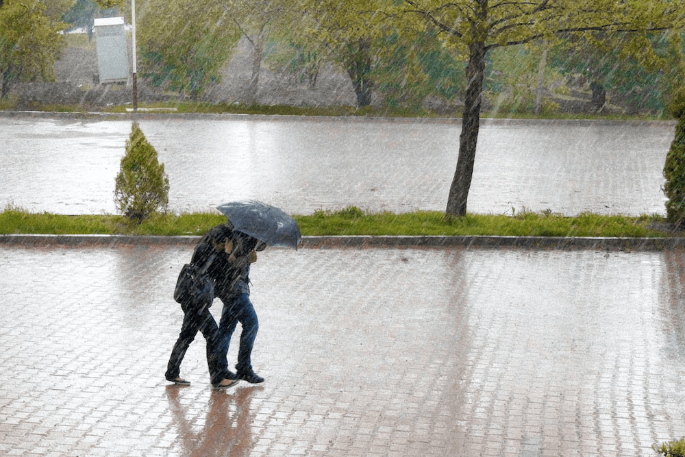 Two people walking with an umbrella in the rain.