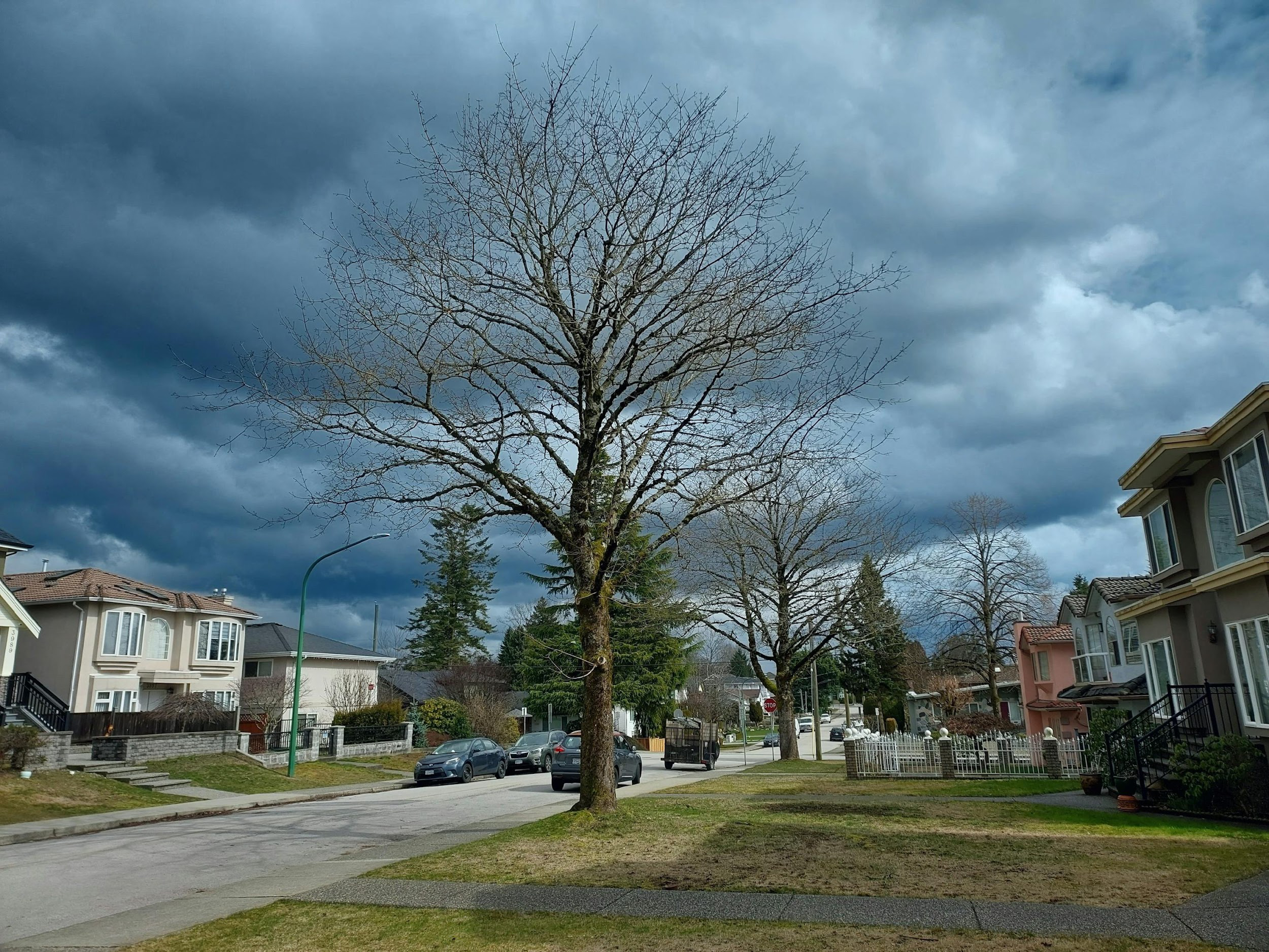 Residential neighborhood with trees and homes on a stormy day