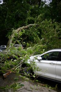 Uprooted tree falling on a car due to a storm.