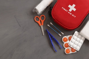 A first aid kit, a pair of scissors and tweezers, cotton swabs and medicines